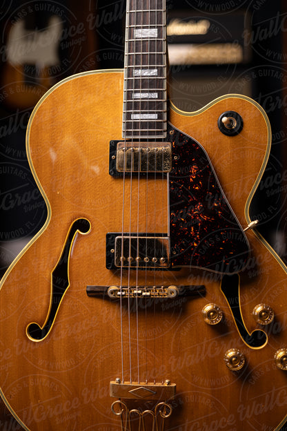 1978 Ibanez FA-300NT Hollowbody Electric Guitar - Natural