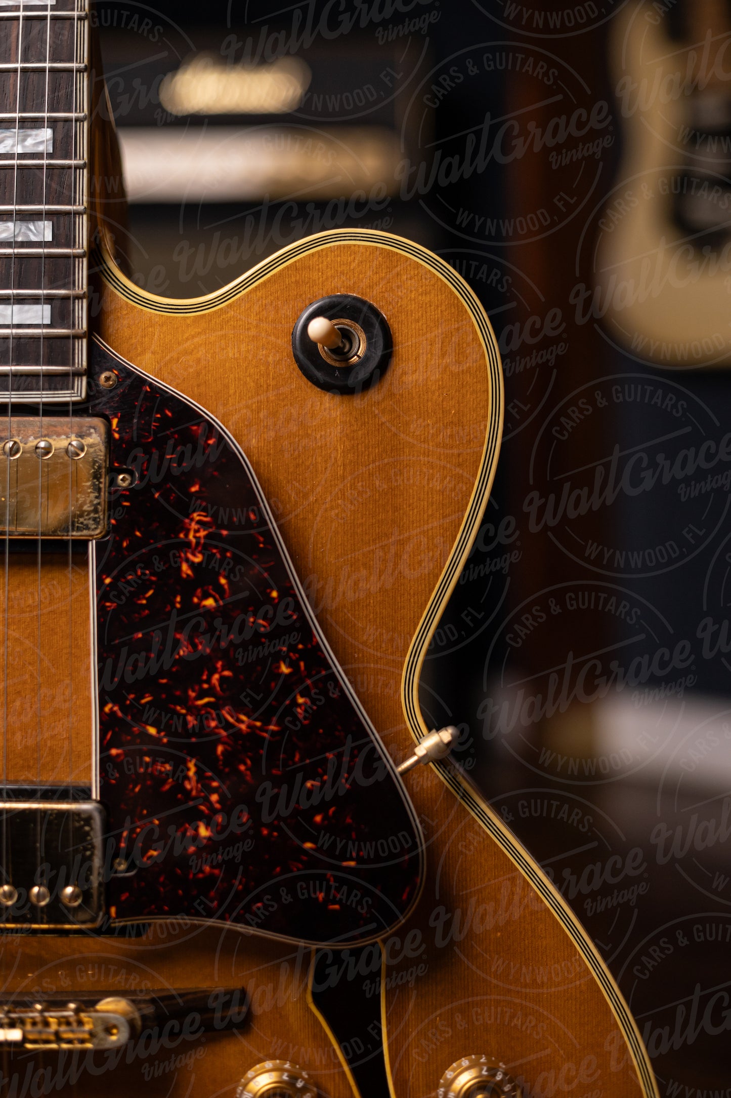 1978 Ibanez FA-300NT Hollowbody Electric Guitar - Natural