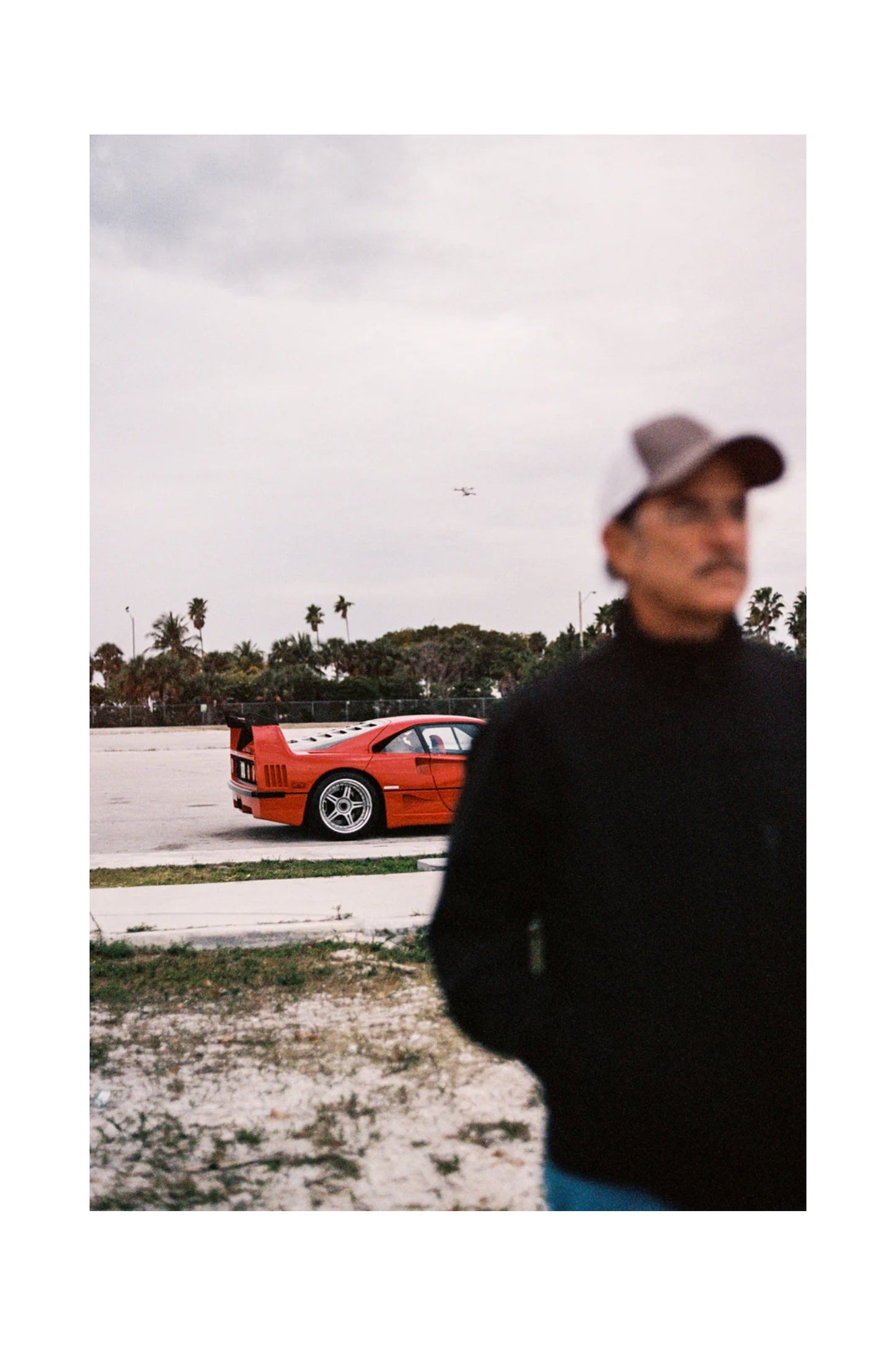 Bart Kuykens "PRANCING HORSES"