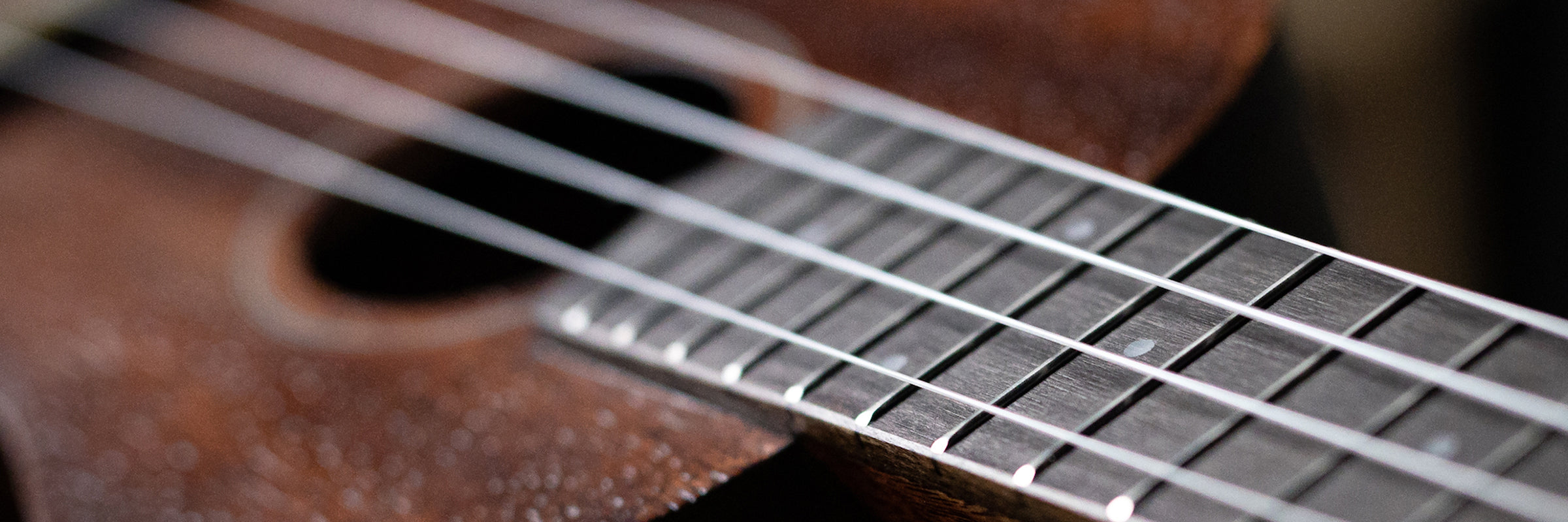 Ukulele Hero Image