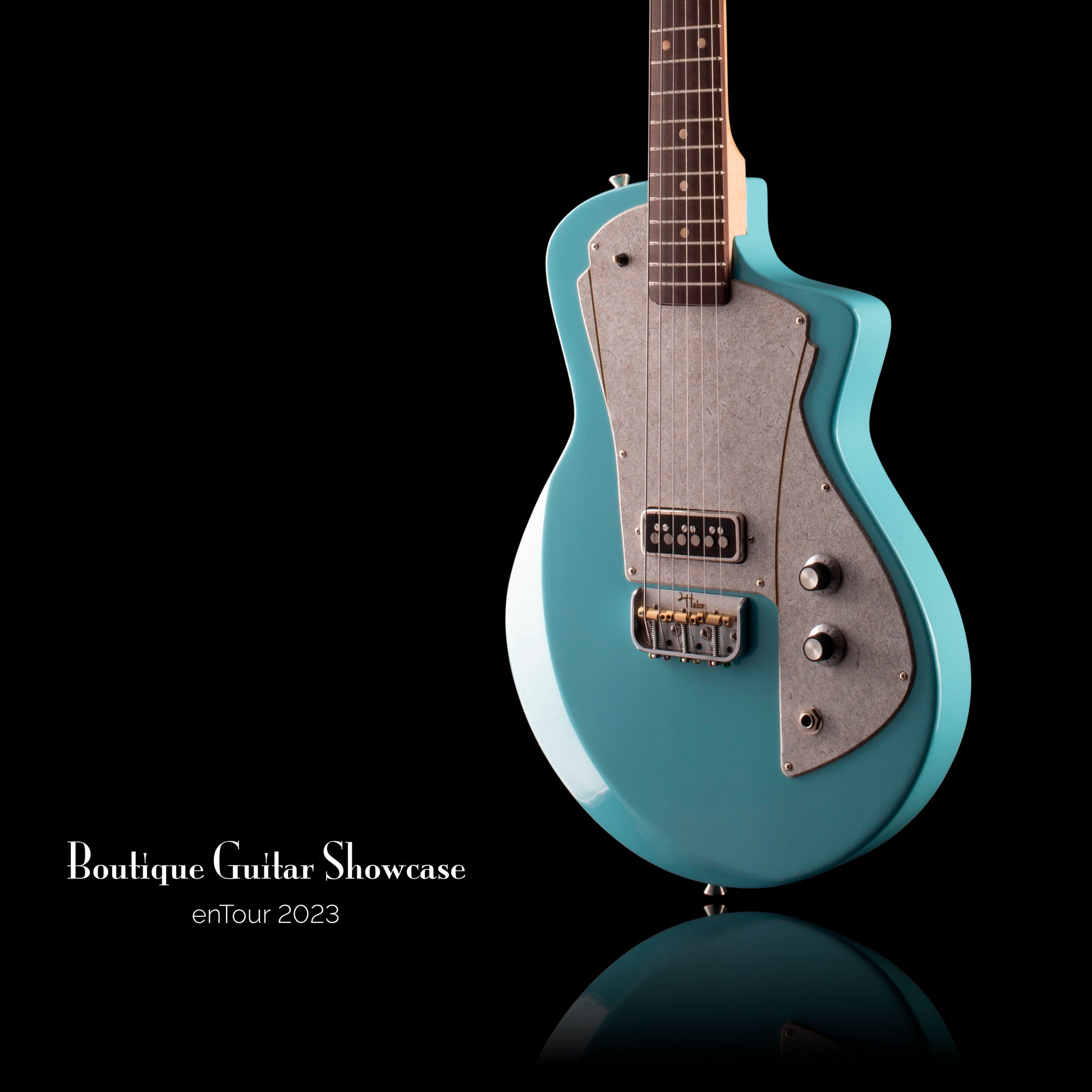 Berg Guitares Electriques Feline
