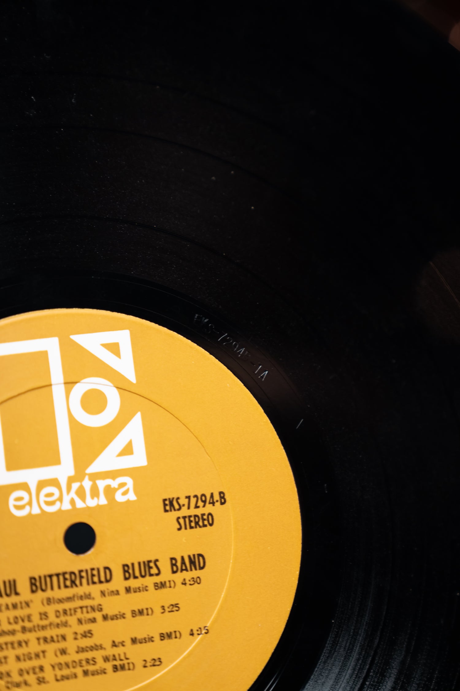 The Paul Butterfield Blues Band - The Paul Butterfield Blues Band