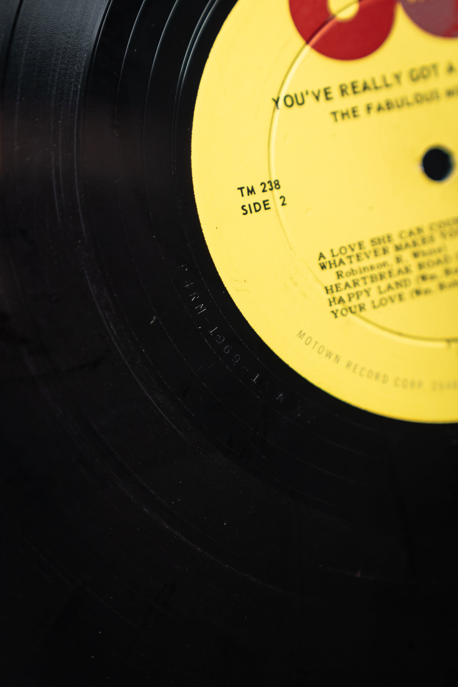The Fabulous Miracles - You've Really Got a Hold On Me