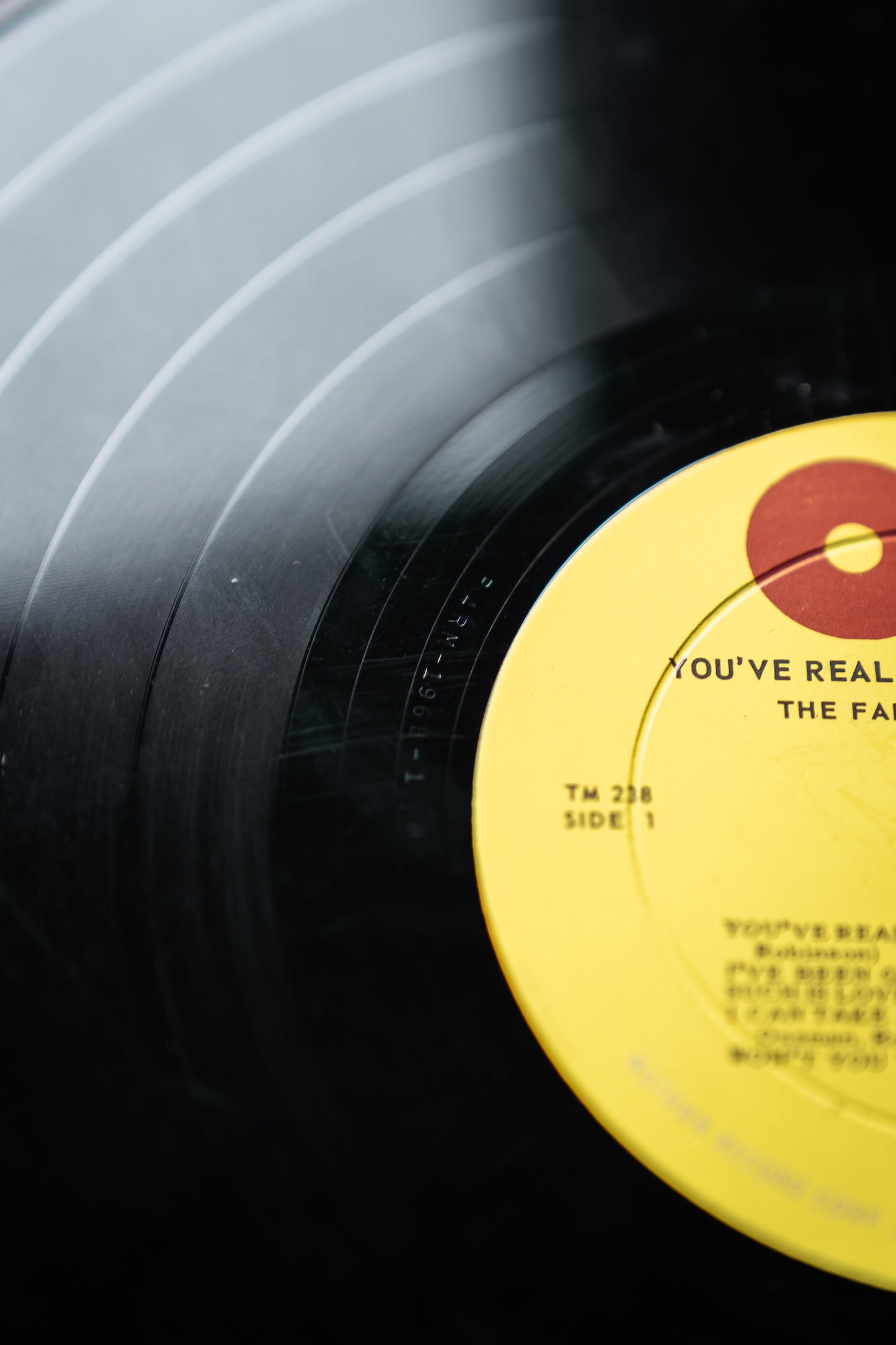The Fabulous Miracles - You've Really Got a Hold On Me