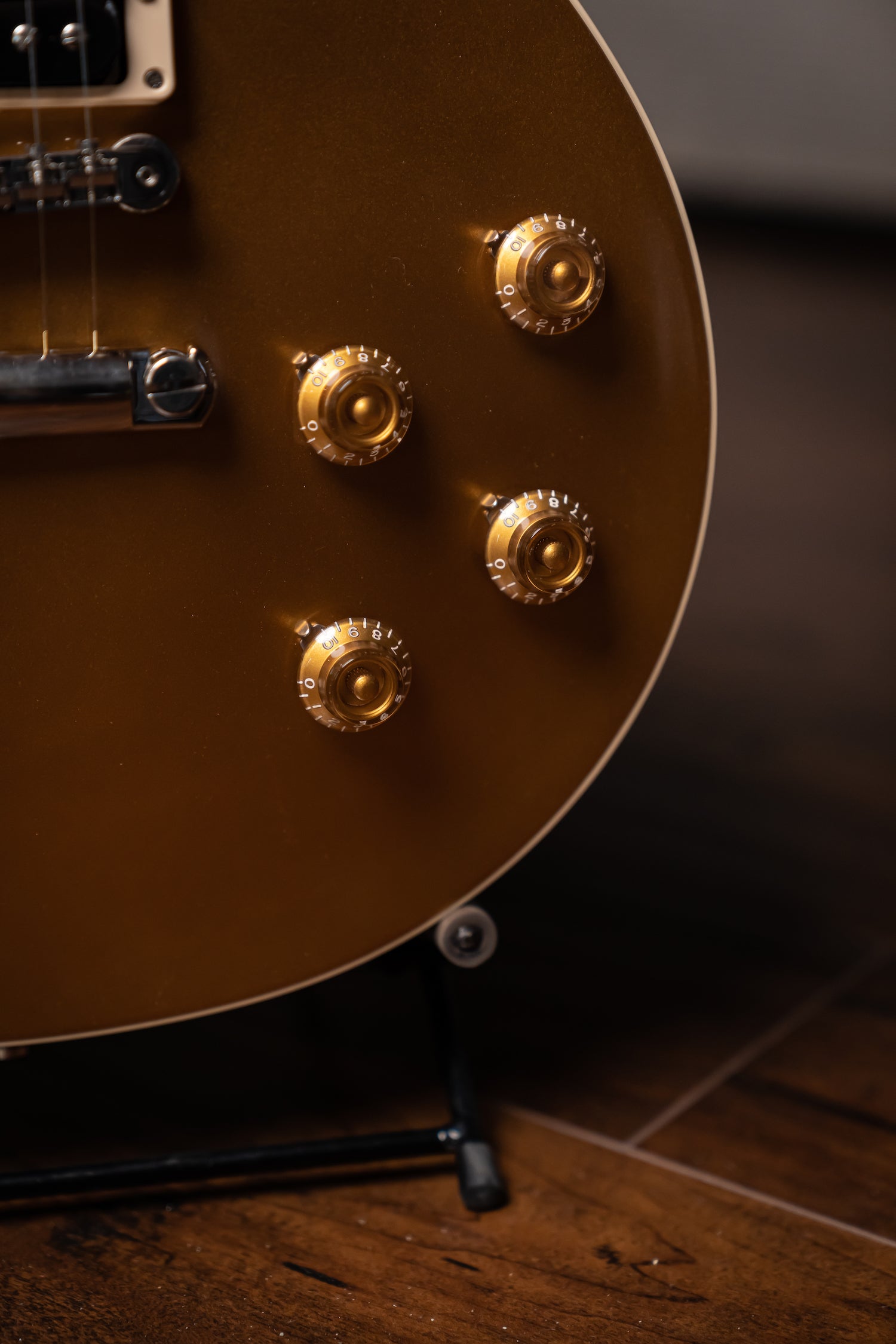 Gibson Slash "Victoria" Les Paul Standard Electric Guitar - Goldtop Dark Back