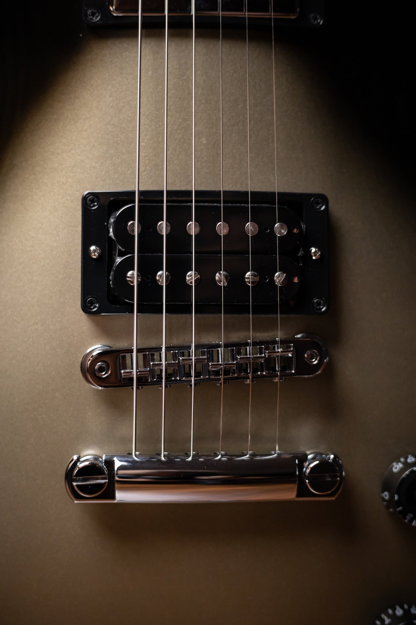 Gibson Adam Jones Les Paul Standard Electric Guitar - Silverburst
