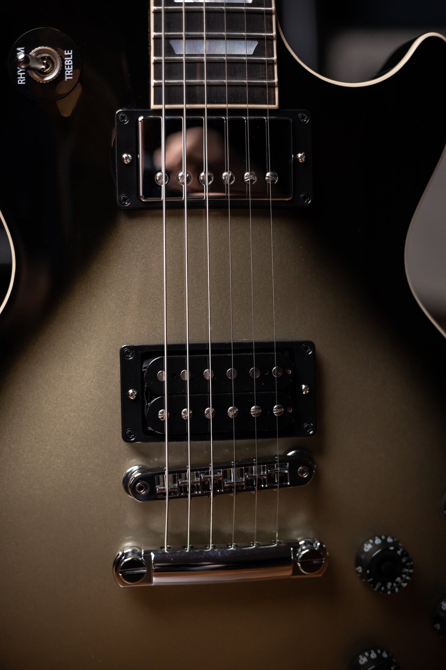 Gibson Adam Jones Les Paul Standard Electric Guitar - Silverburst