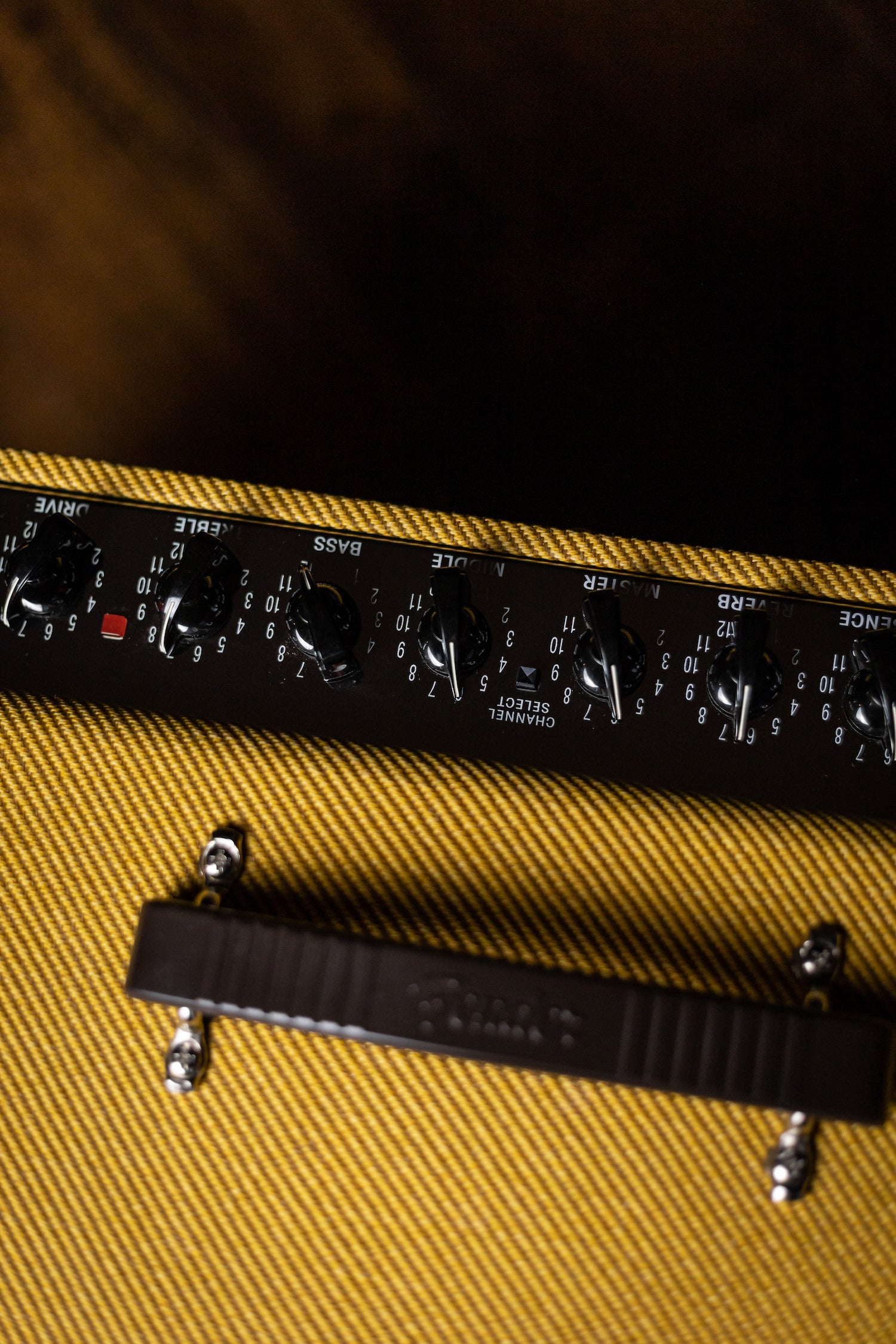 Fender Blues Deluxe Reissue Combo Amp - Lacquered Tweed