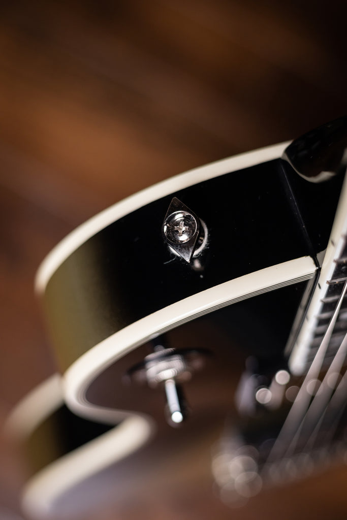 Epiphone Adam Jones Les Paul Custom Art Collection Electric Guitar - Mark Ryden’s “Veil of Bees", Antique Silverburst