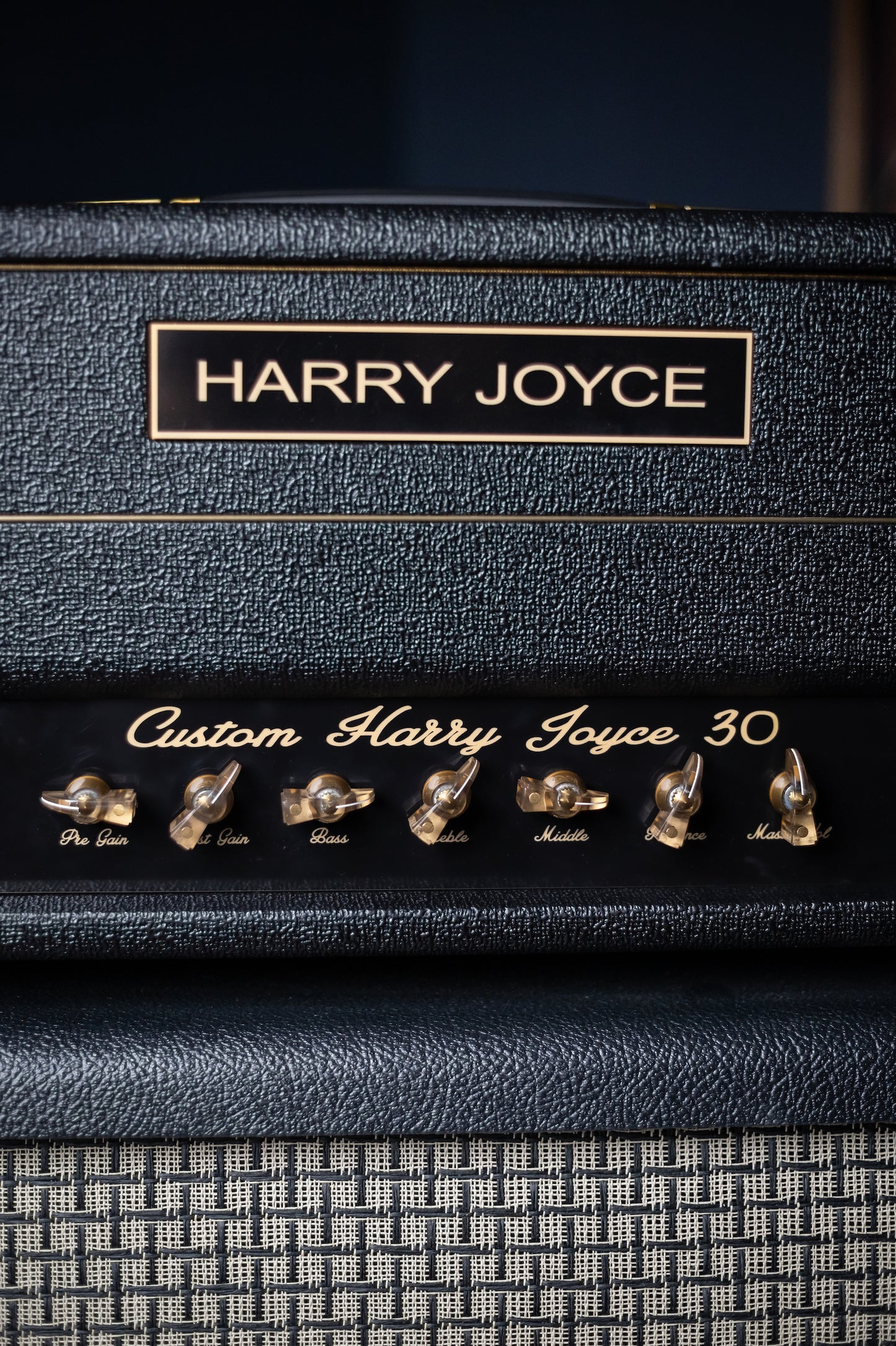 Harry Joyce High Gain 30 Watt Amplifier Head