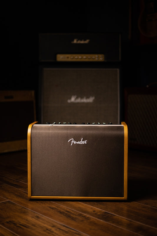 Fender Acoustic 100 Combo Amp