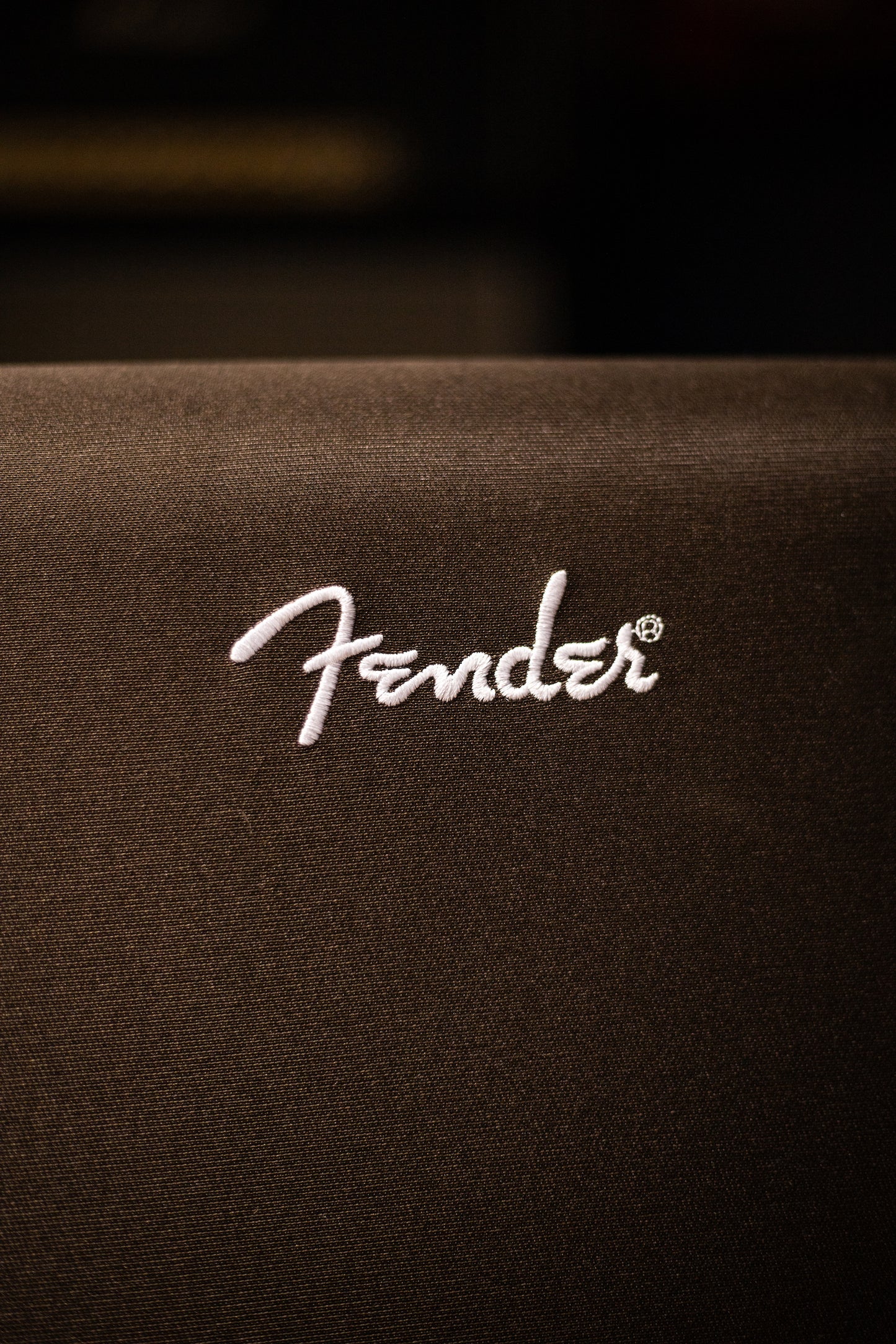 Fender Acoustic 100 Combo Amp