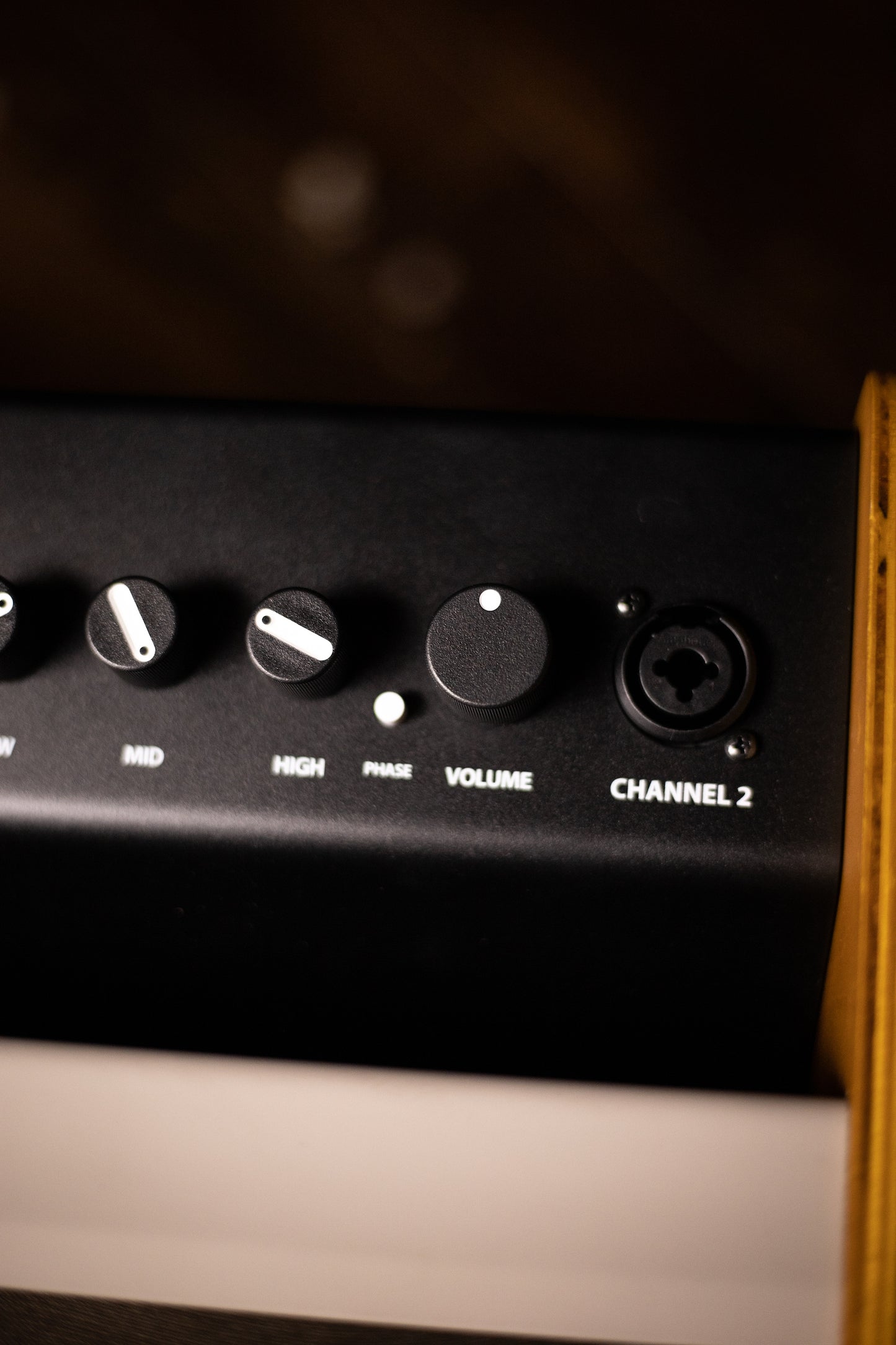 Fender Acoustic 100 Combo Amp