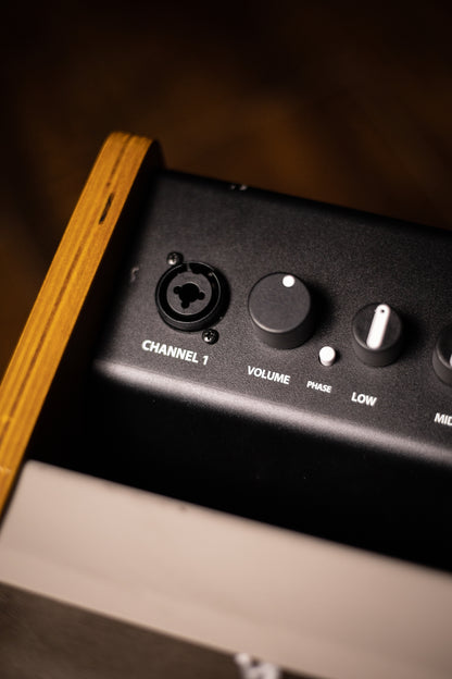 Fender Acoustic 100 Combo Amp