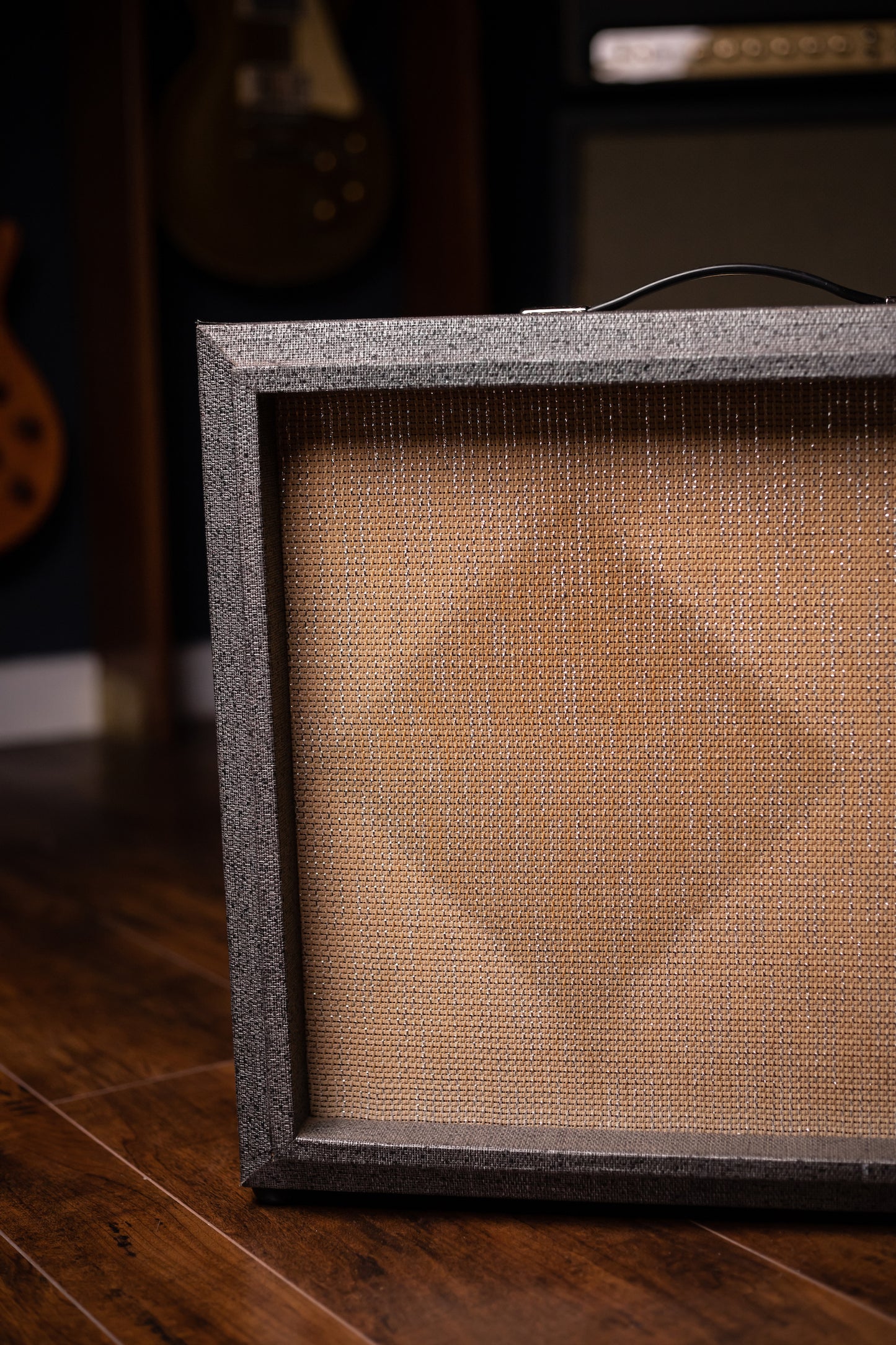 1965 Silvertone Model 1482 Combo Amp