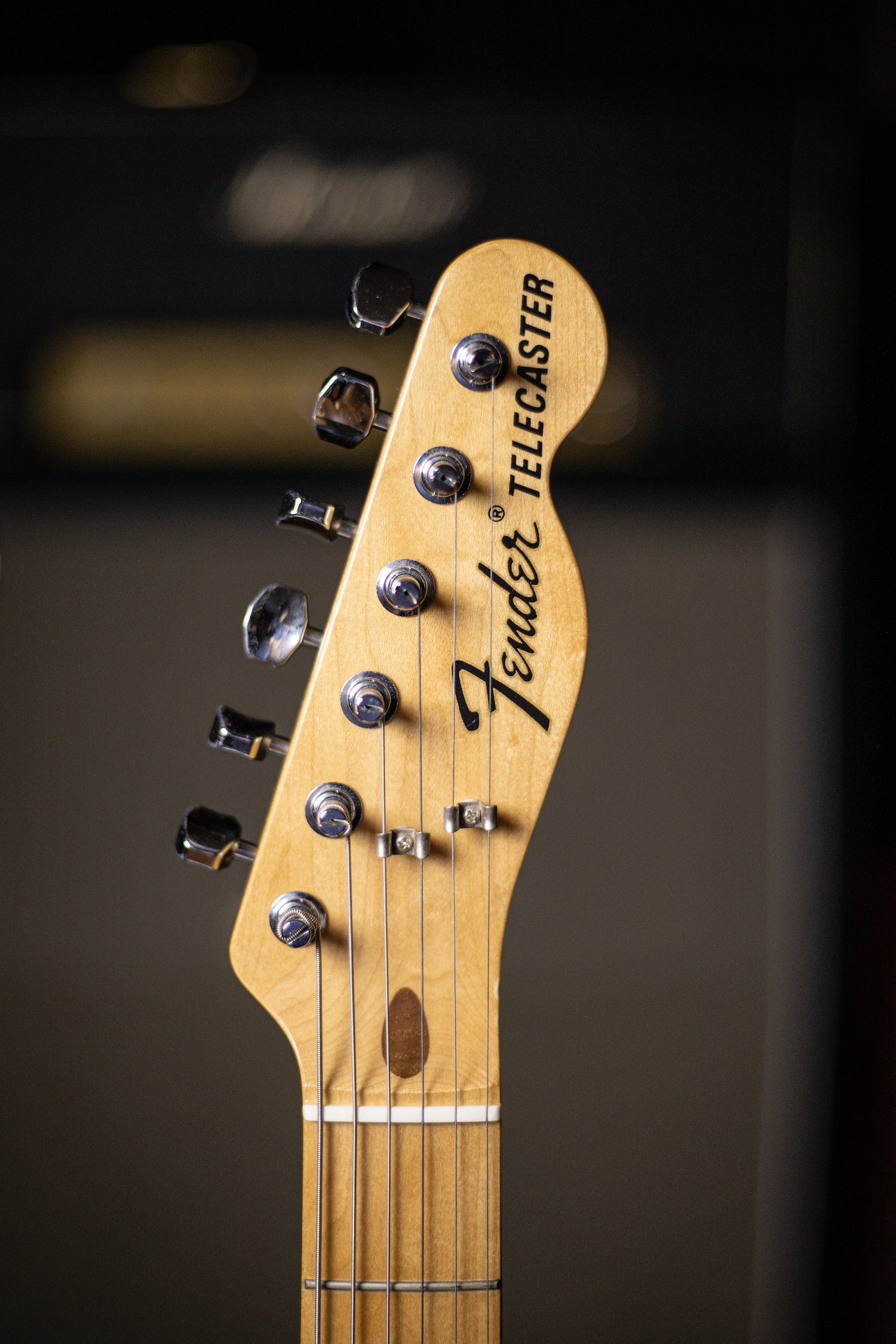 Fender 72 Telecaster Thinline 2002年製 - 器材