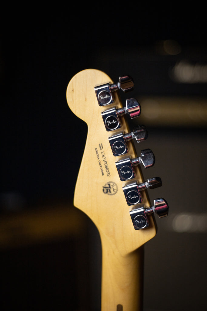 Fender American Professional II Stratocaster Rosewood Electric Guitar - Dark Night