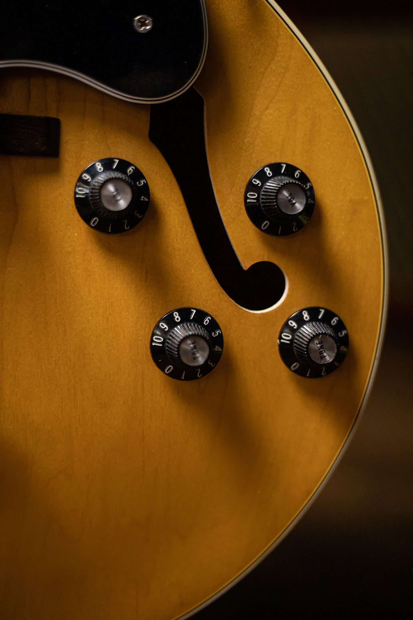 1975 Gibson ES-175 Electric Guitar - Natural
