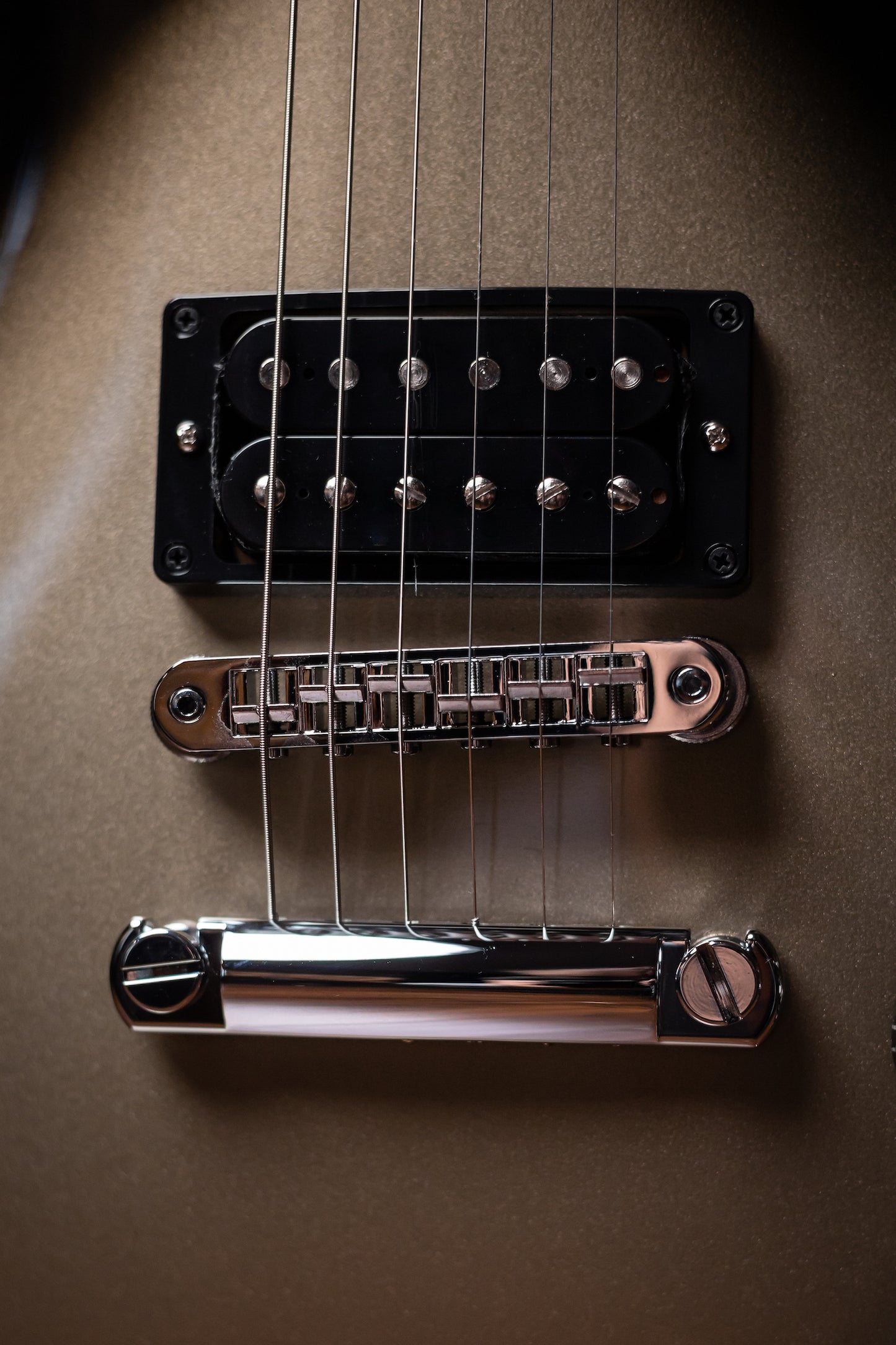 Gibson Adam Jones Les Paul Standard Electric Guitar - Silverburst