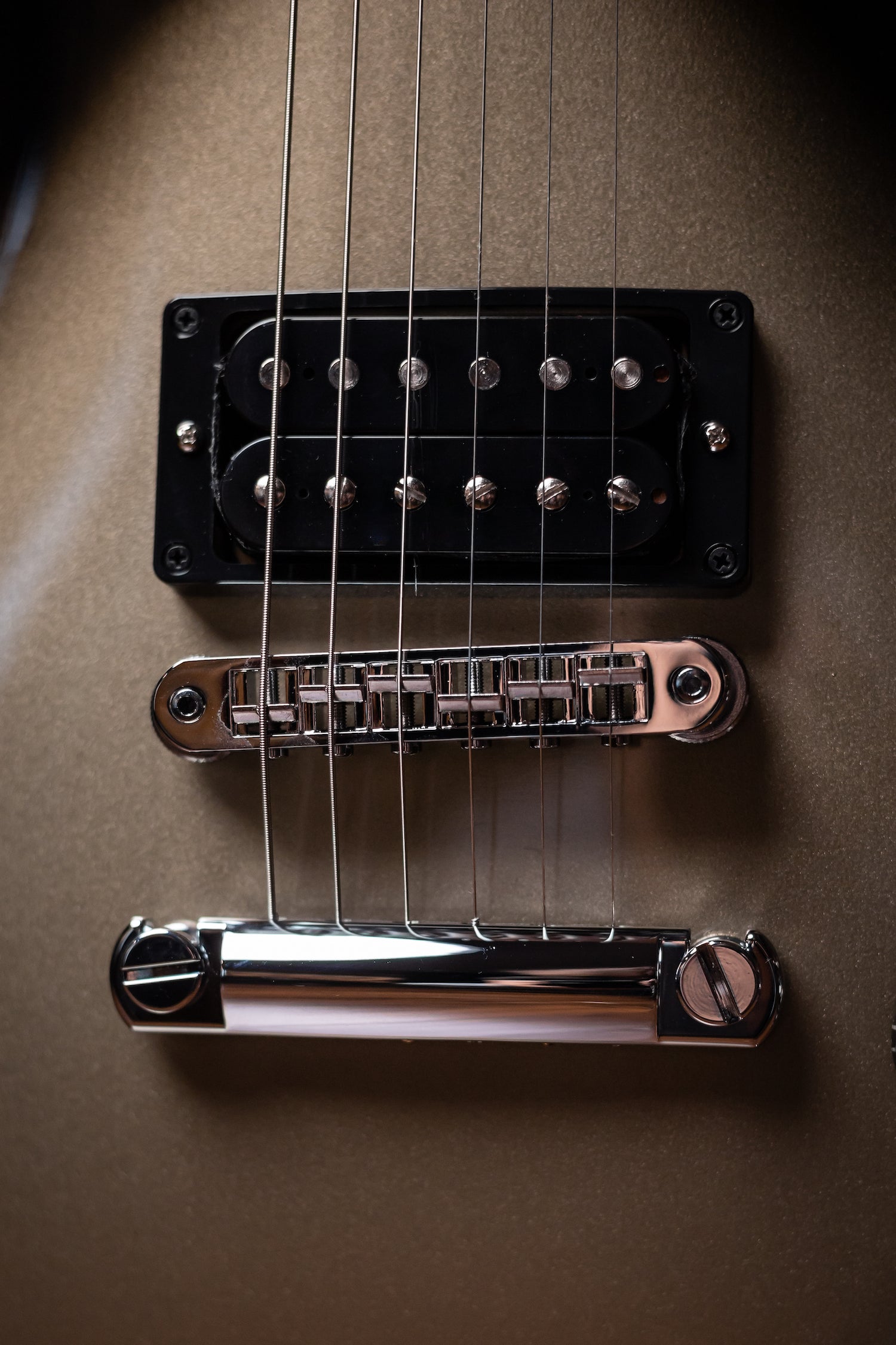 Gibson Adam Jones Les Paul Standard Electric Guitar - Silverburst