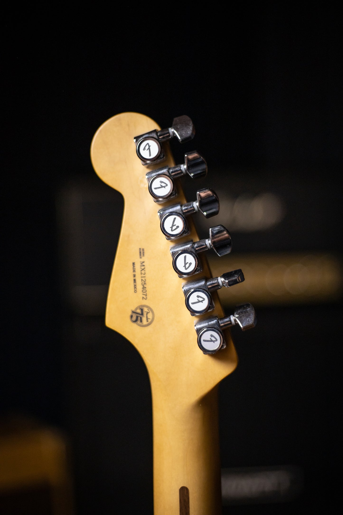Fender Player Plus Stratocaster Electric Guitar - 3 Color Sunburst