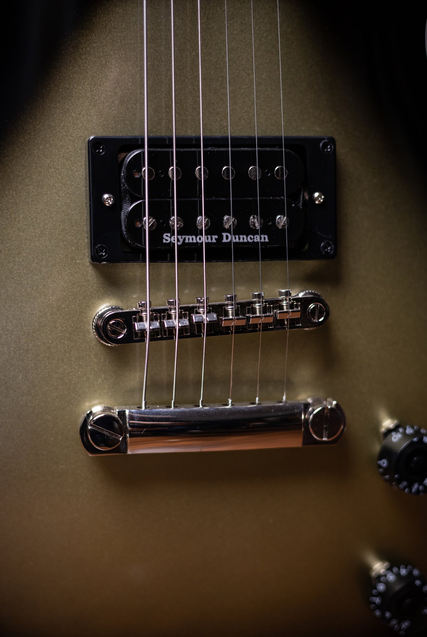 Adam Jones Les Paul Custom Art Collection Electric Guitar - Frazetta "The Berserker"