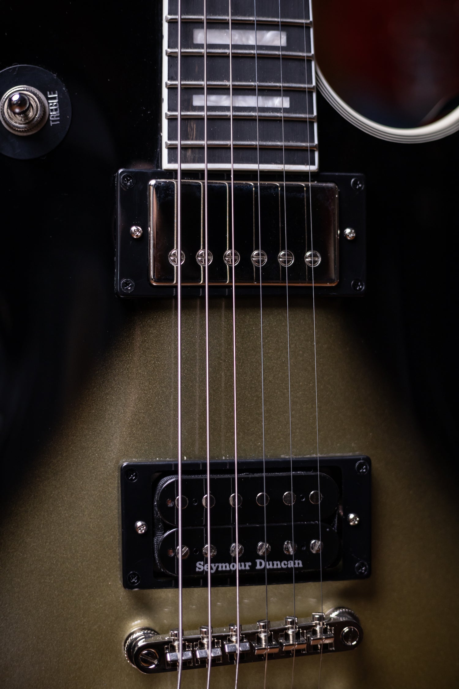 Adam Jones Les Paul Custom Art Collection Electric Guitar - Frazetta "The Berserker"