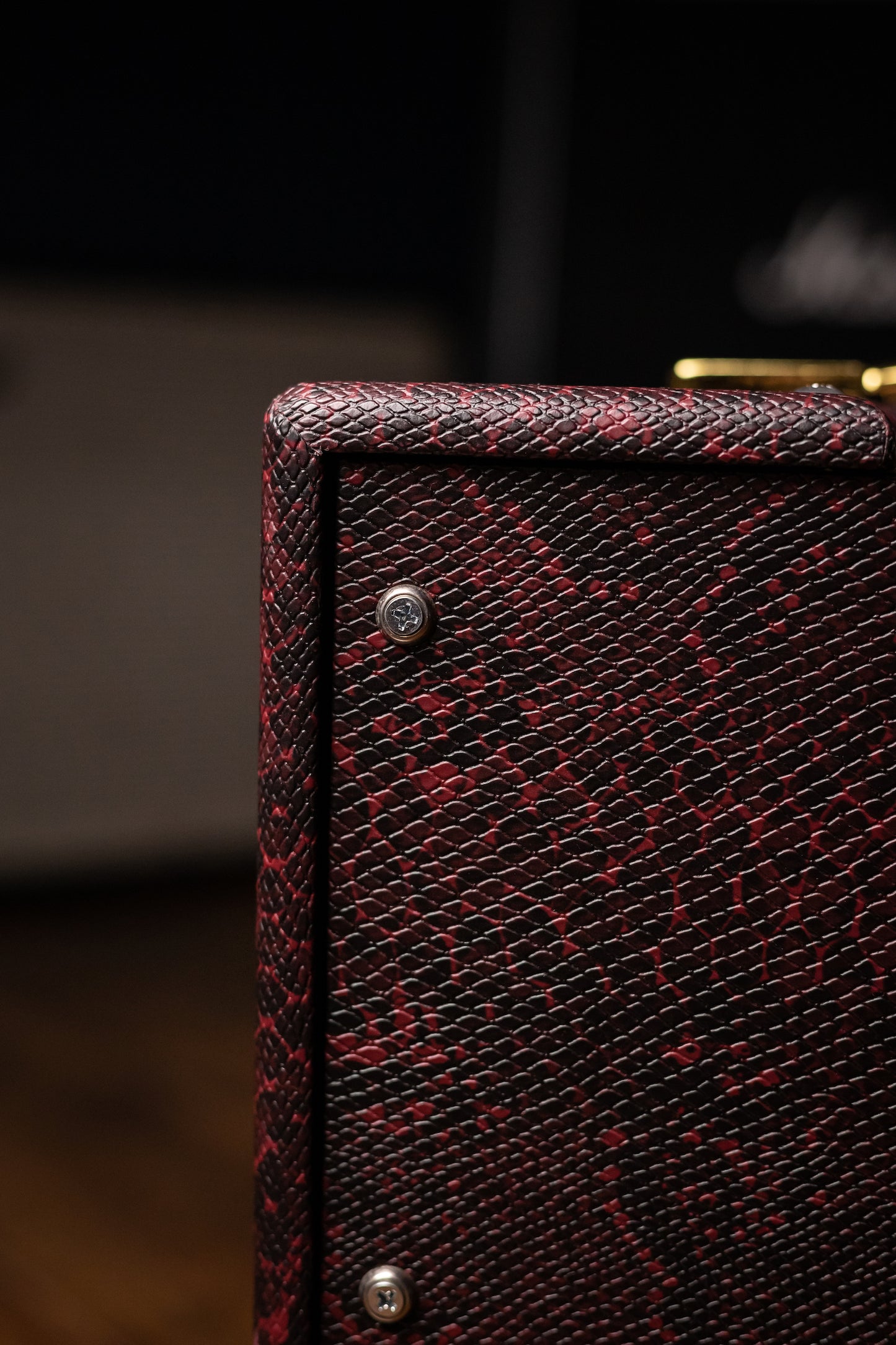 2021 Savage Junger 5 Combo Amp