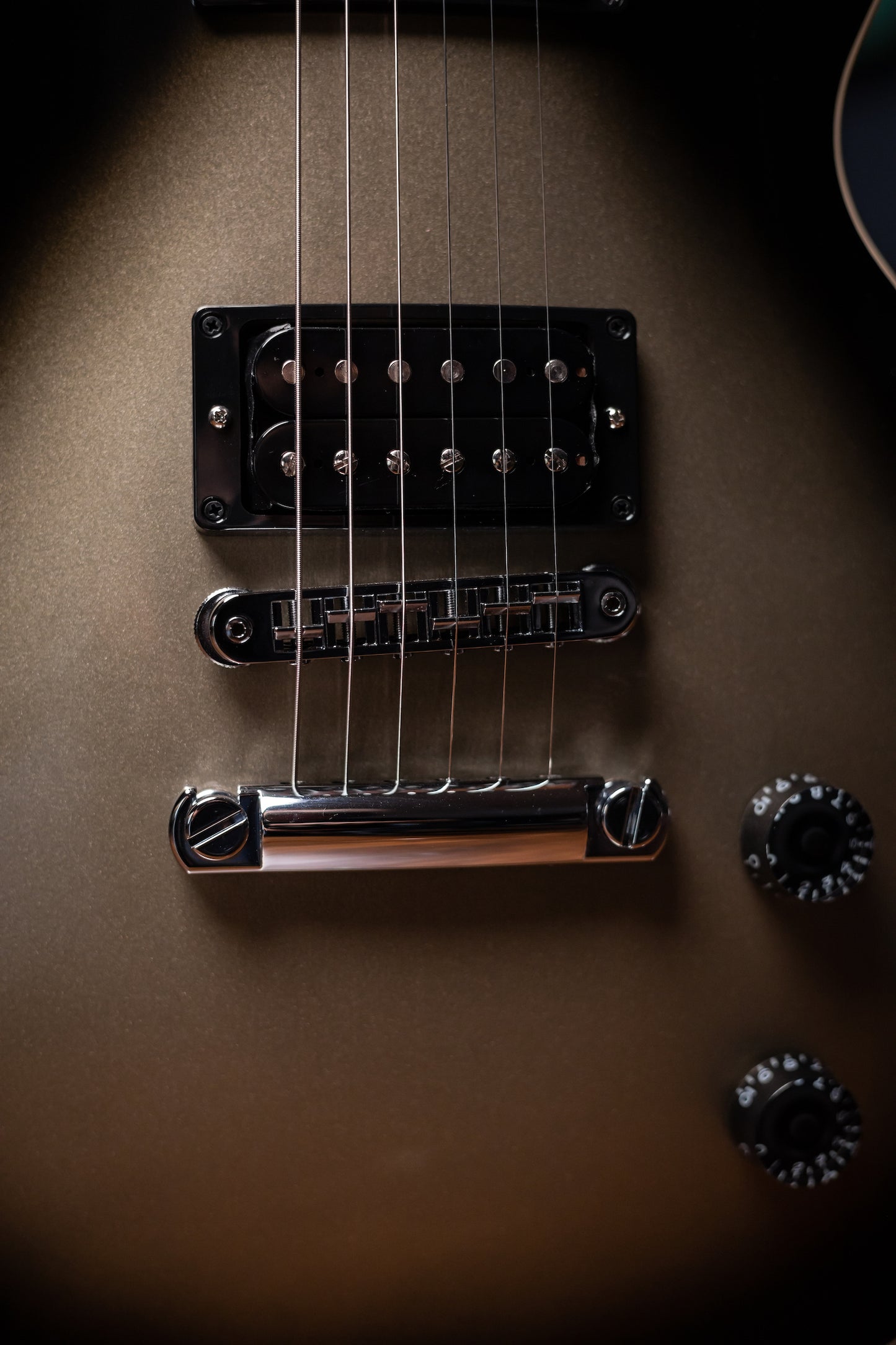 Gibson Adam Jones Les Paul Standard Electric Guitar - Silverburst
