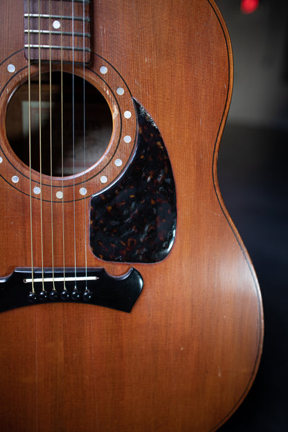 1979 Zemaitis Victor Acoustic Guitar - Red Stain