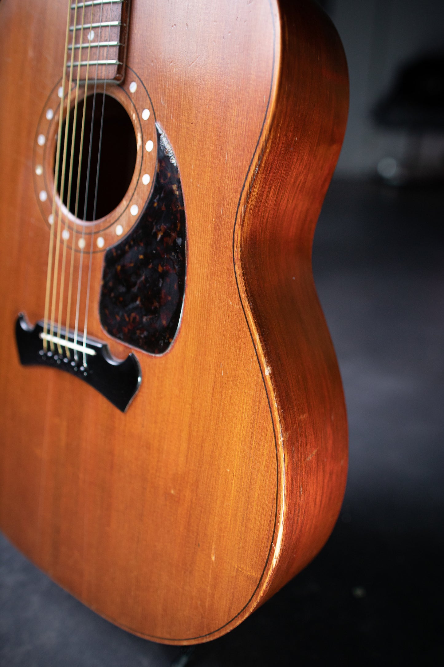 1979 Zemaitis Victor Acoustic Guitar - Red Stain