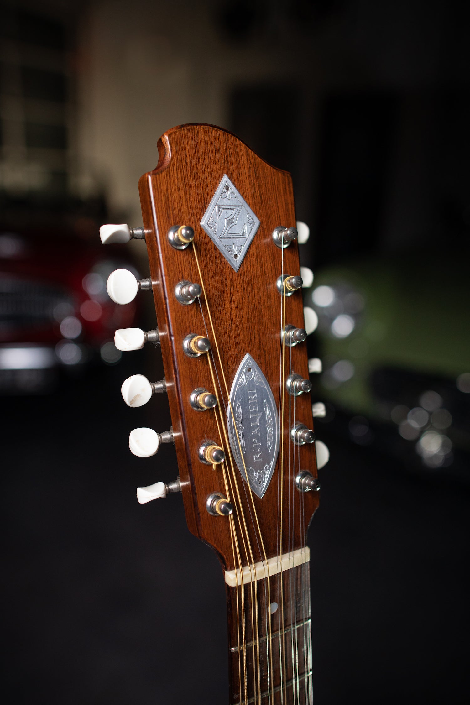 1979 Zemaitis Rik Palieri 12-String Acoustic Guitar - Natural