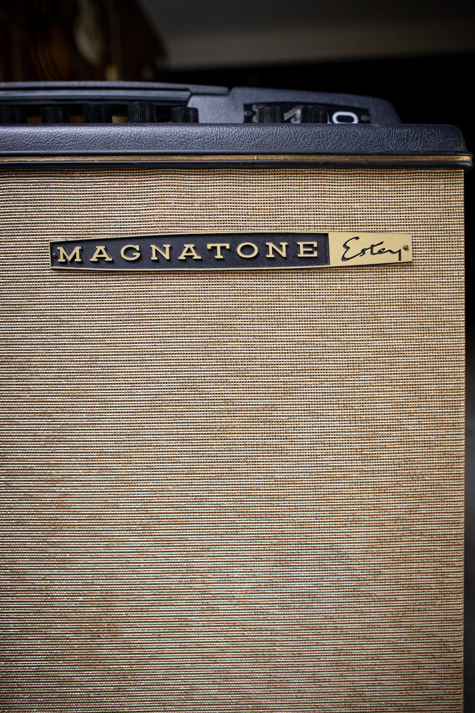 1965 Magnatone M-10 Combo Amp - Walt Grace Vintage