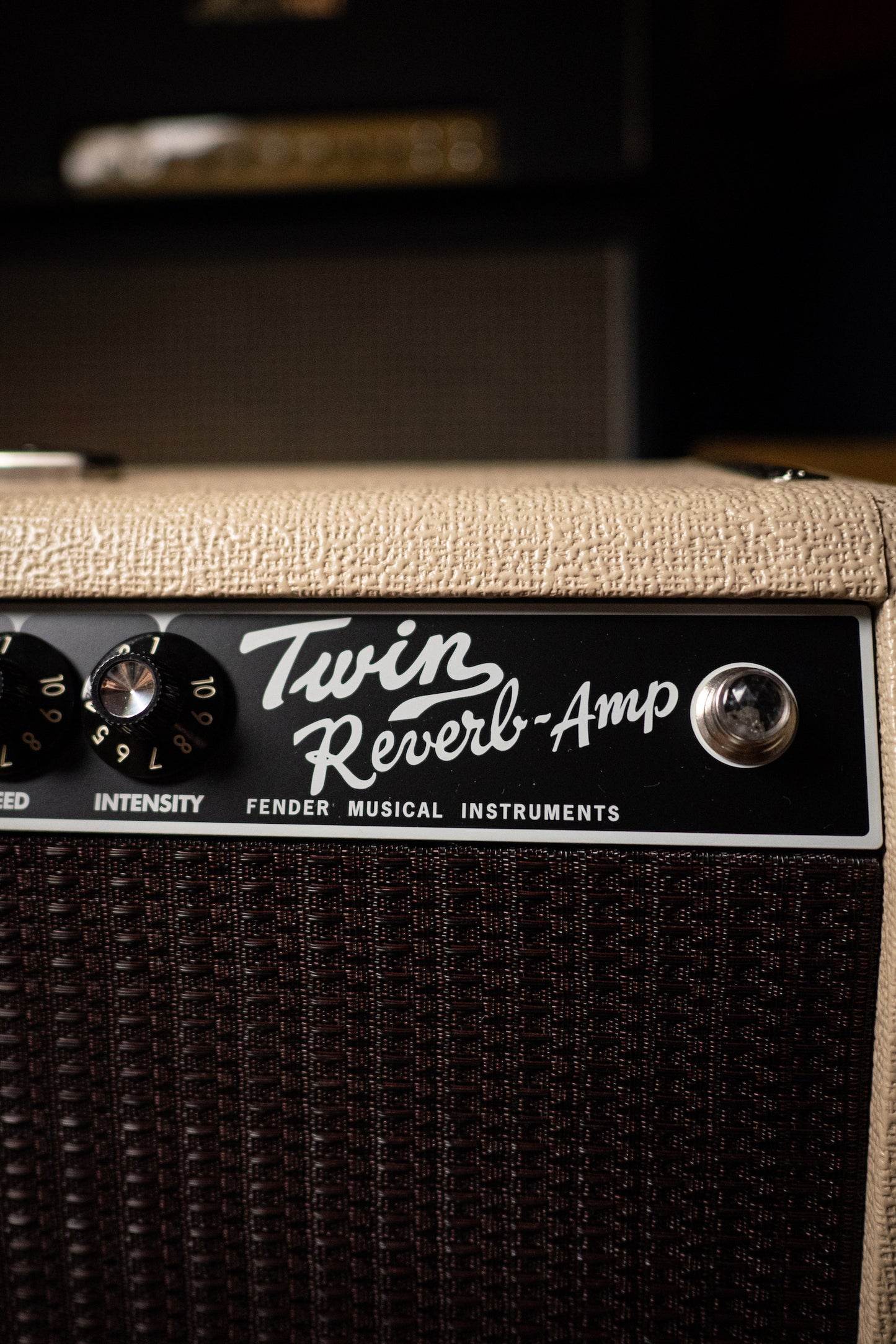 Fender Tone Master Twin Reverb 200 Watt 2x12” Combo Amp - Blonde