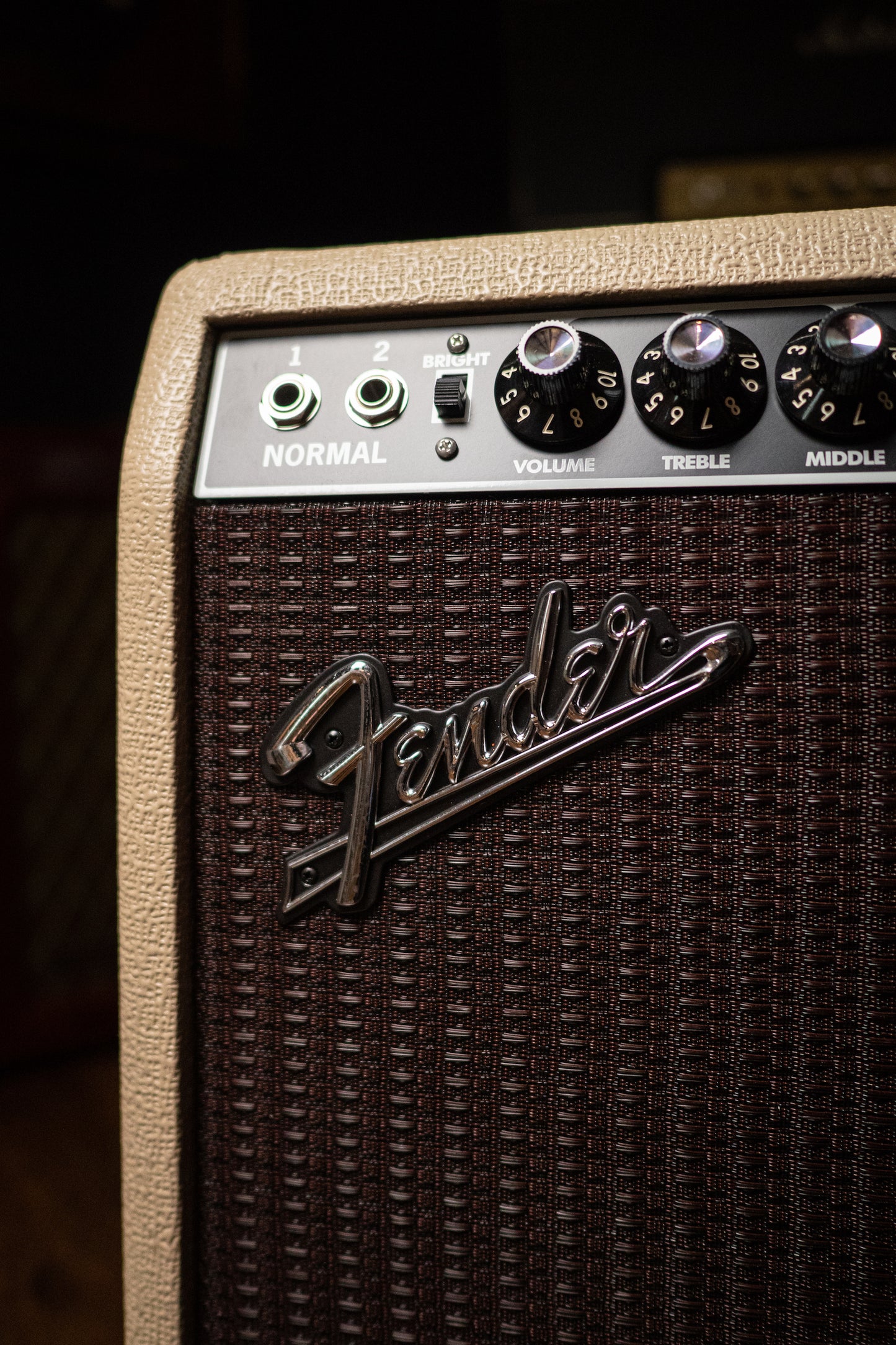 Fender Tone Master Twin Reverb 200 Watt 2x12” Combo Amp - Blonde