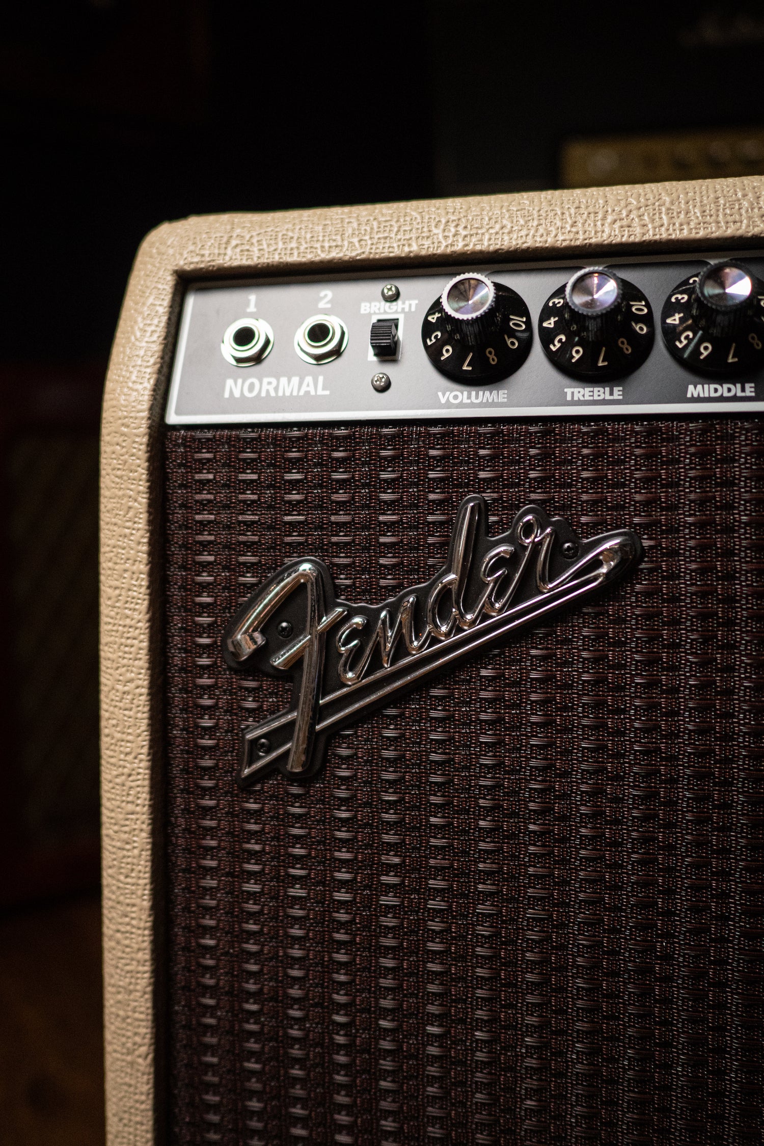 Fender Tone Master Twin Reverb 200 Watt 2x12” Combo Amp - Blonde