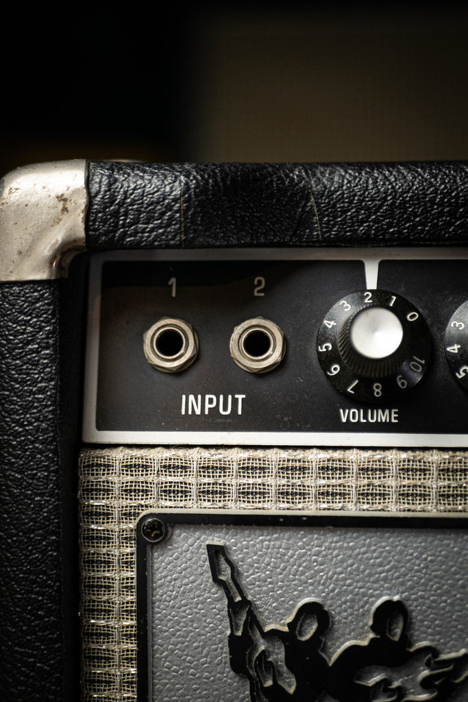 1975 Musicman 210 / 65 Combo Amp Inputs