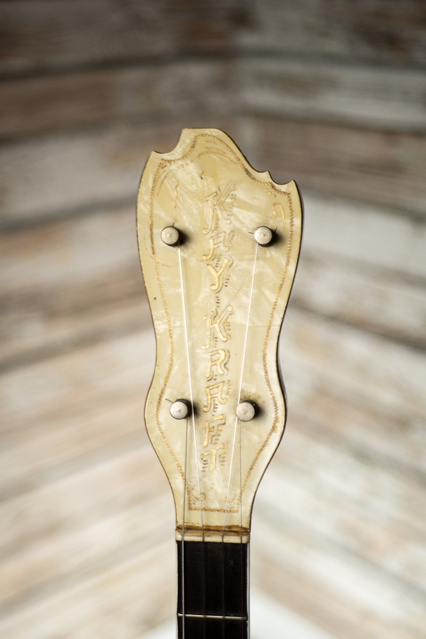 Kay Kraft Banjo