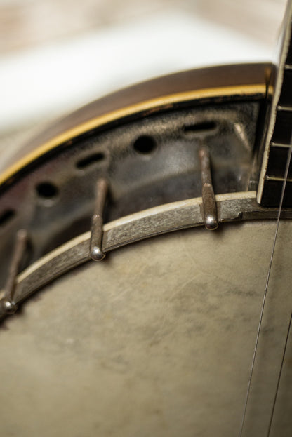 Kay Kraft Banjo