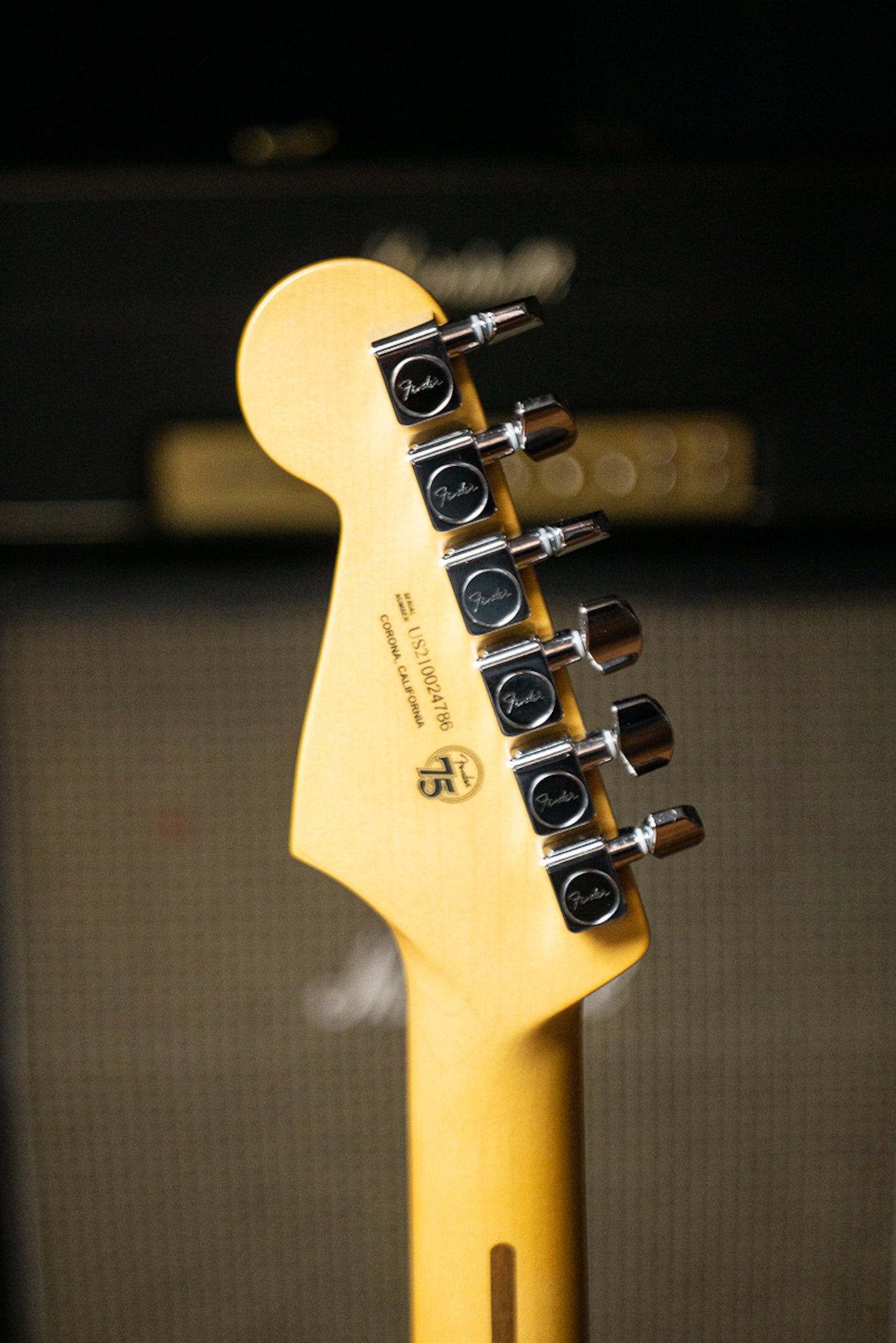 Fender American Professional II Stratocaster Electric Guitar - Black