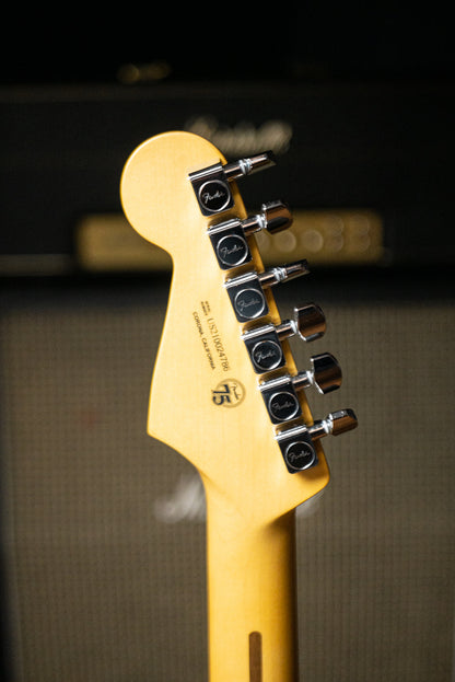 Fender American Professional II Stratocaster Electric Guitar - Black