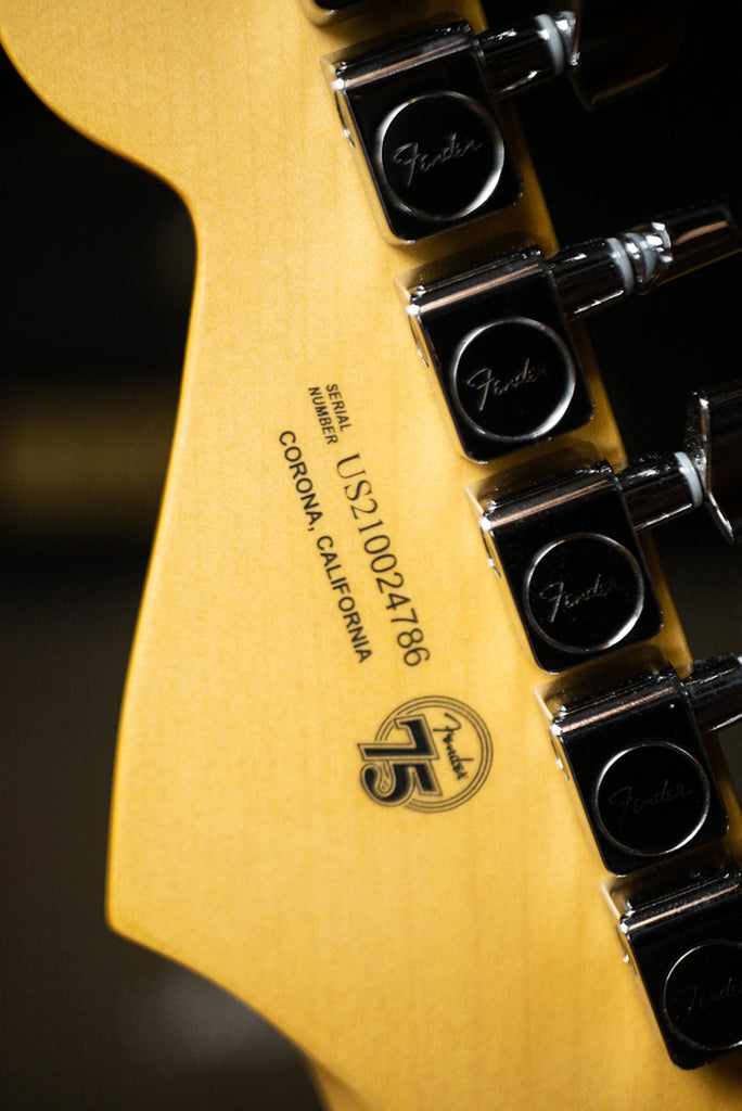 Fender American Professional II Stratocaster Electric Guitar - Black