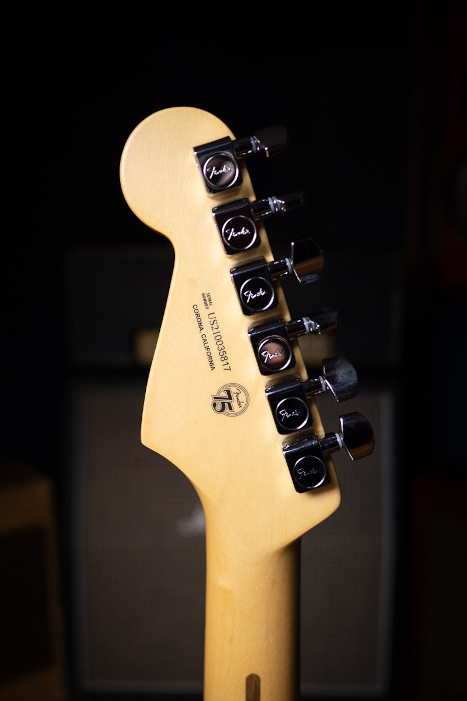 Fender American Professional II Stratocaster Electric Guitar - Miami Blue